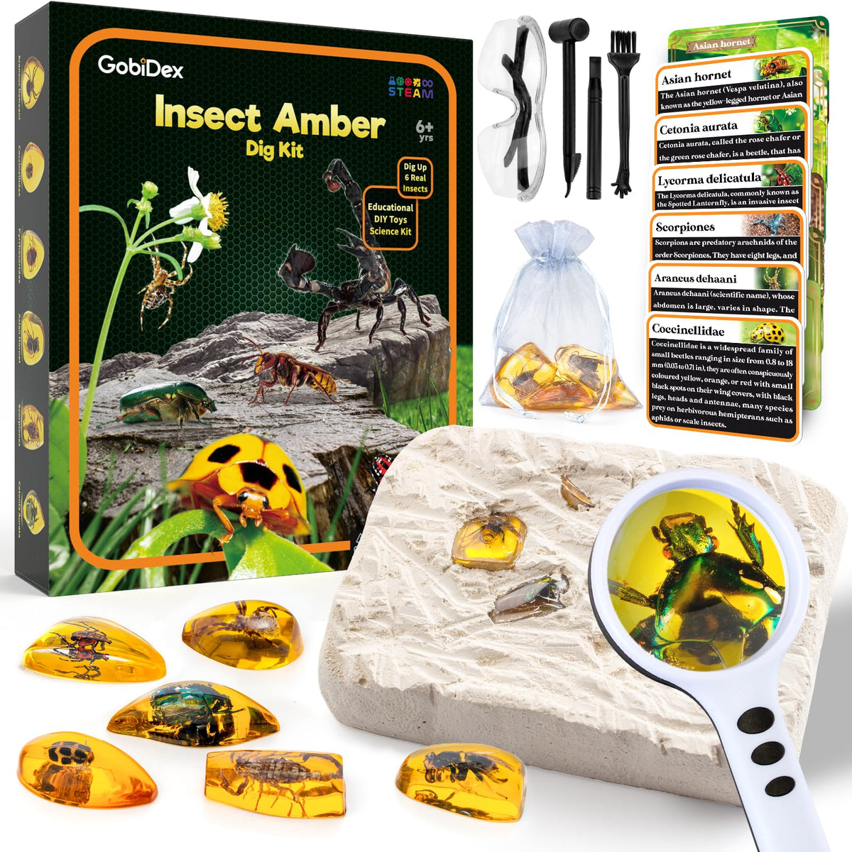 GobiDex Amber Dig Kit packaging shows educational appeal for curious kids.