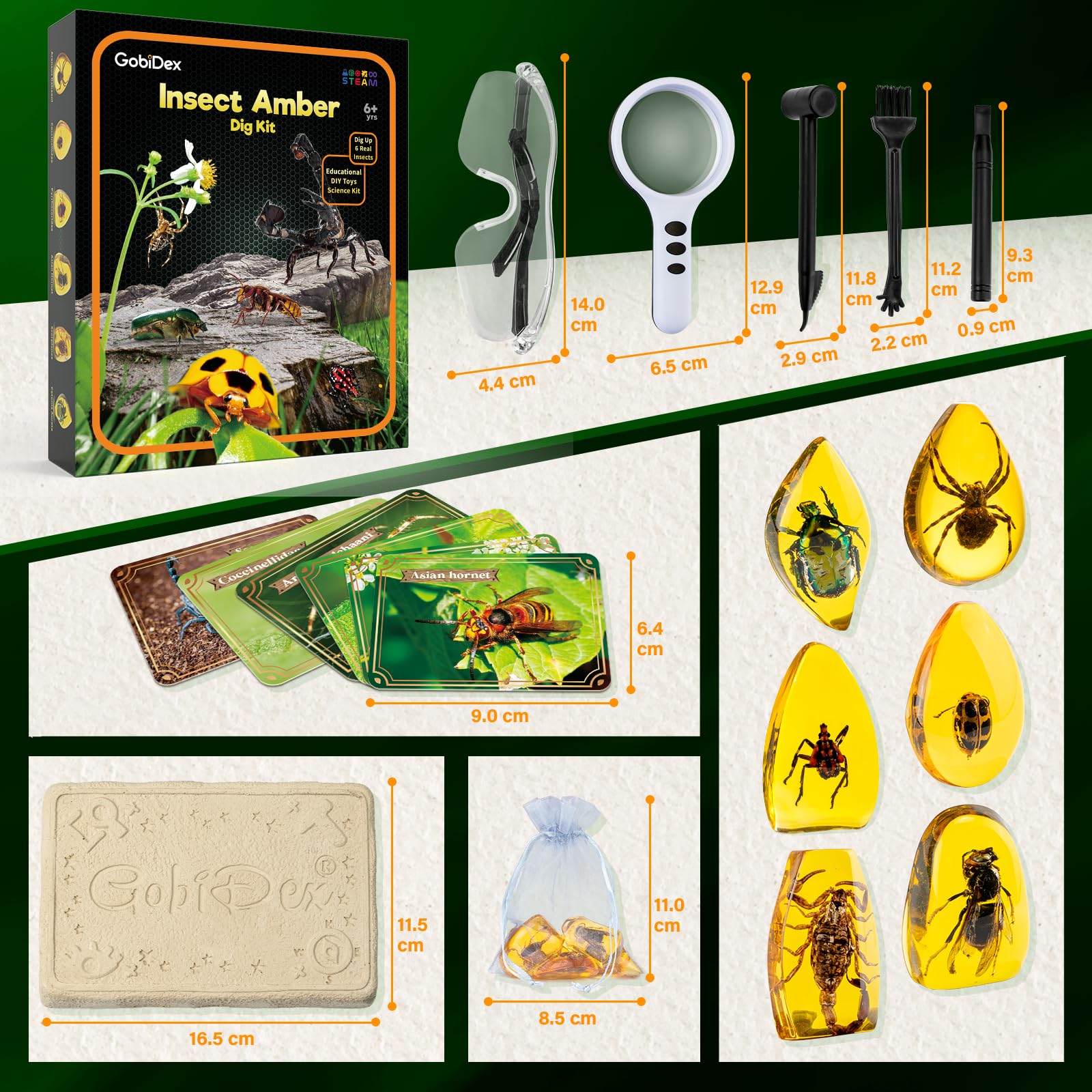 GobiDex Amber Dig Kit party favors engage young science enthusiasts.