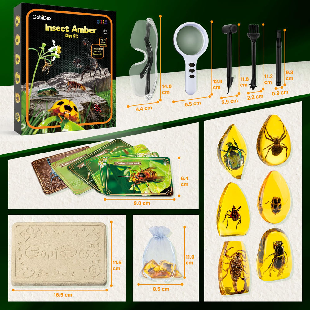GobiDex Amber Dig Kit party favors engage young science enthusiasts.