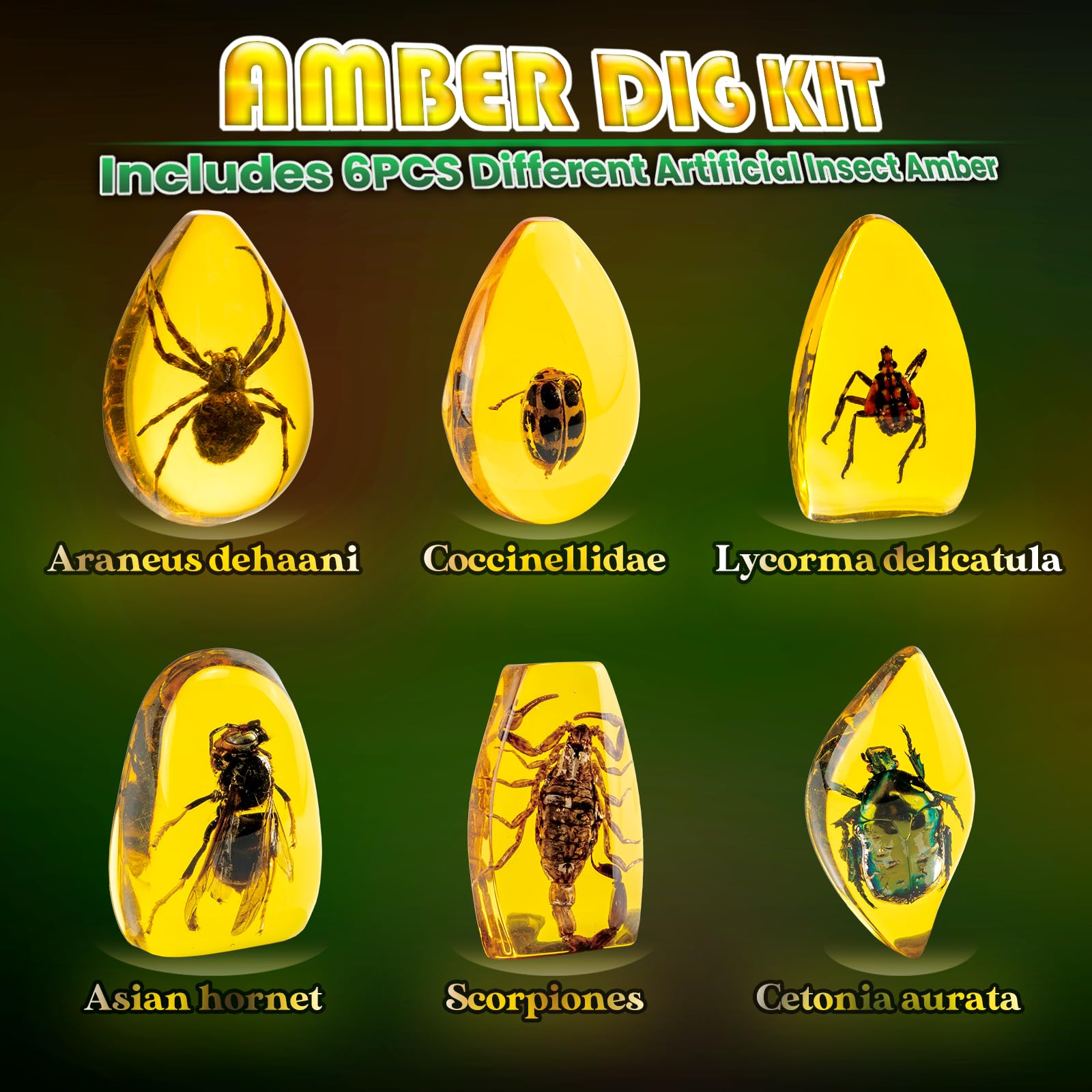 GobiDex Amber Dig Kit excavation tools set for hands-on discovery.