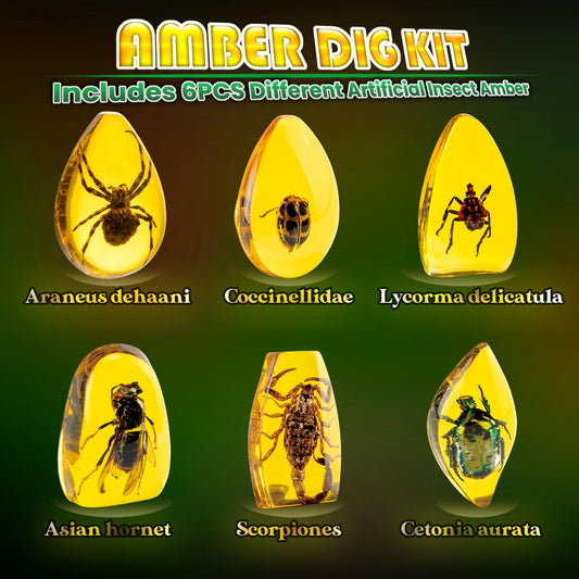 GobiDex Amber Dig Kit excavation tools set for hands-on discovery.