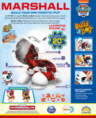 Includes 20+ pieces and a sticker sheet for personalized building fun.