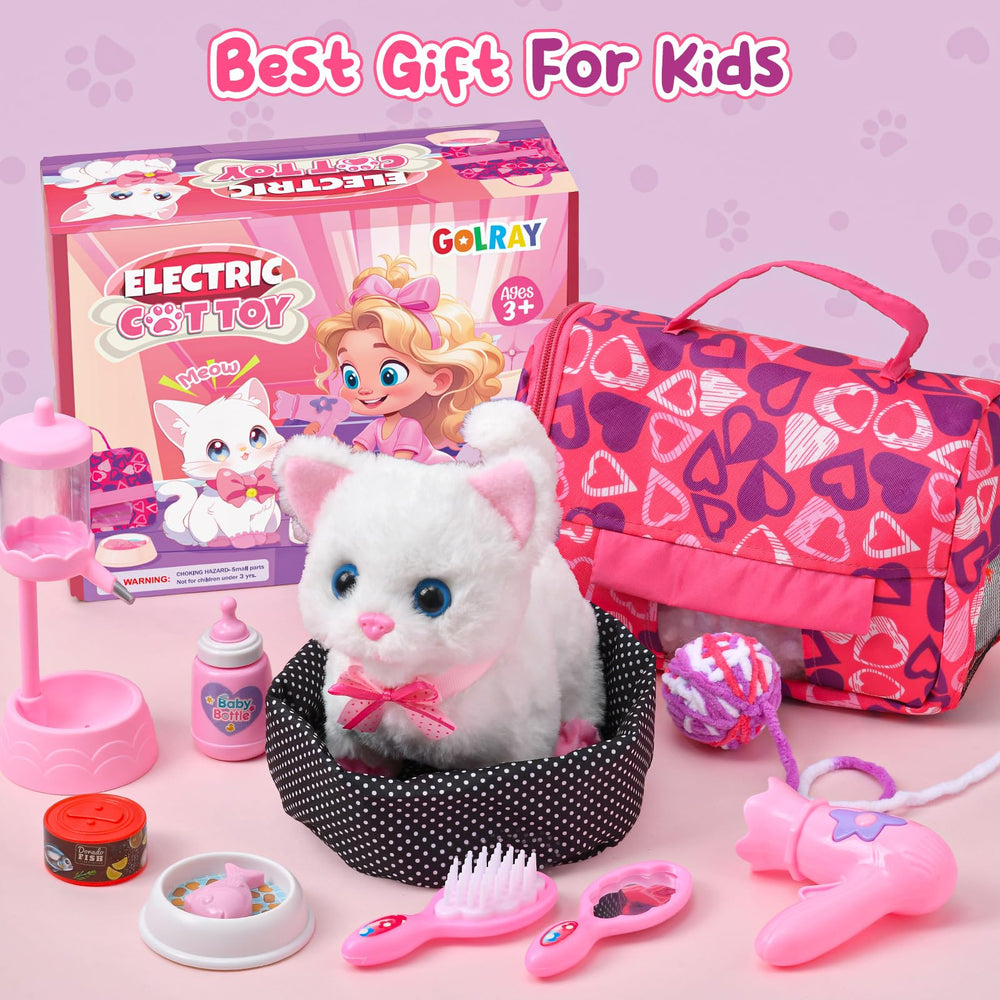 Golray cat collar and shoes for stylish outings