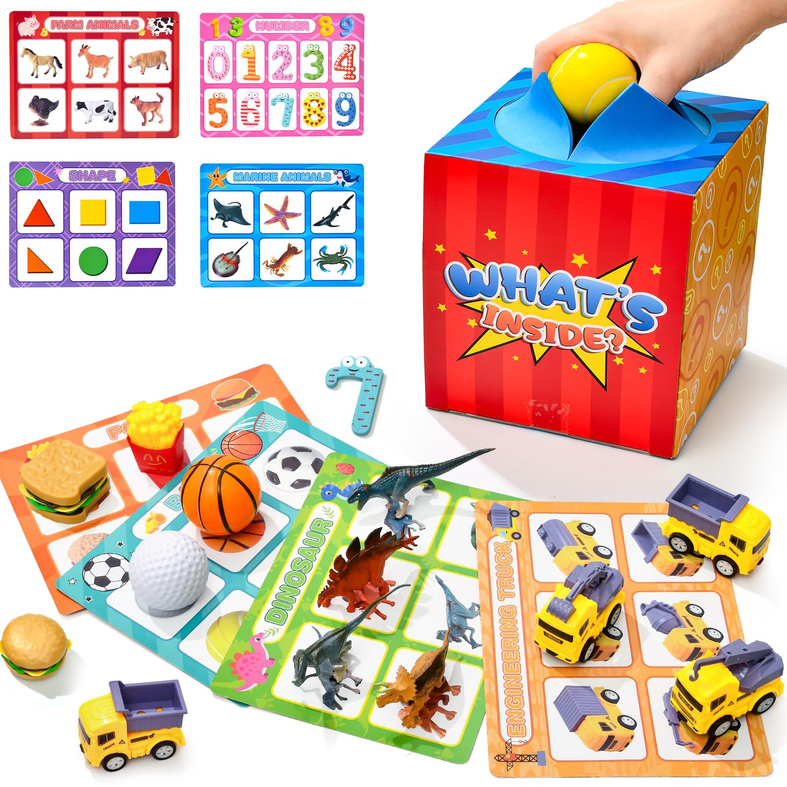 Golray sorting toys set with mystery box for toddlers supports early sorting play