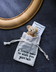 Good Luck Gift Pocket Bear poem card, ideal for comforting during tough times.