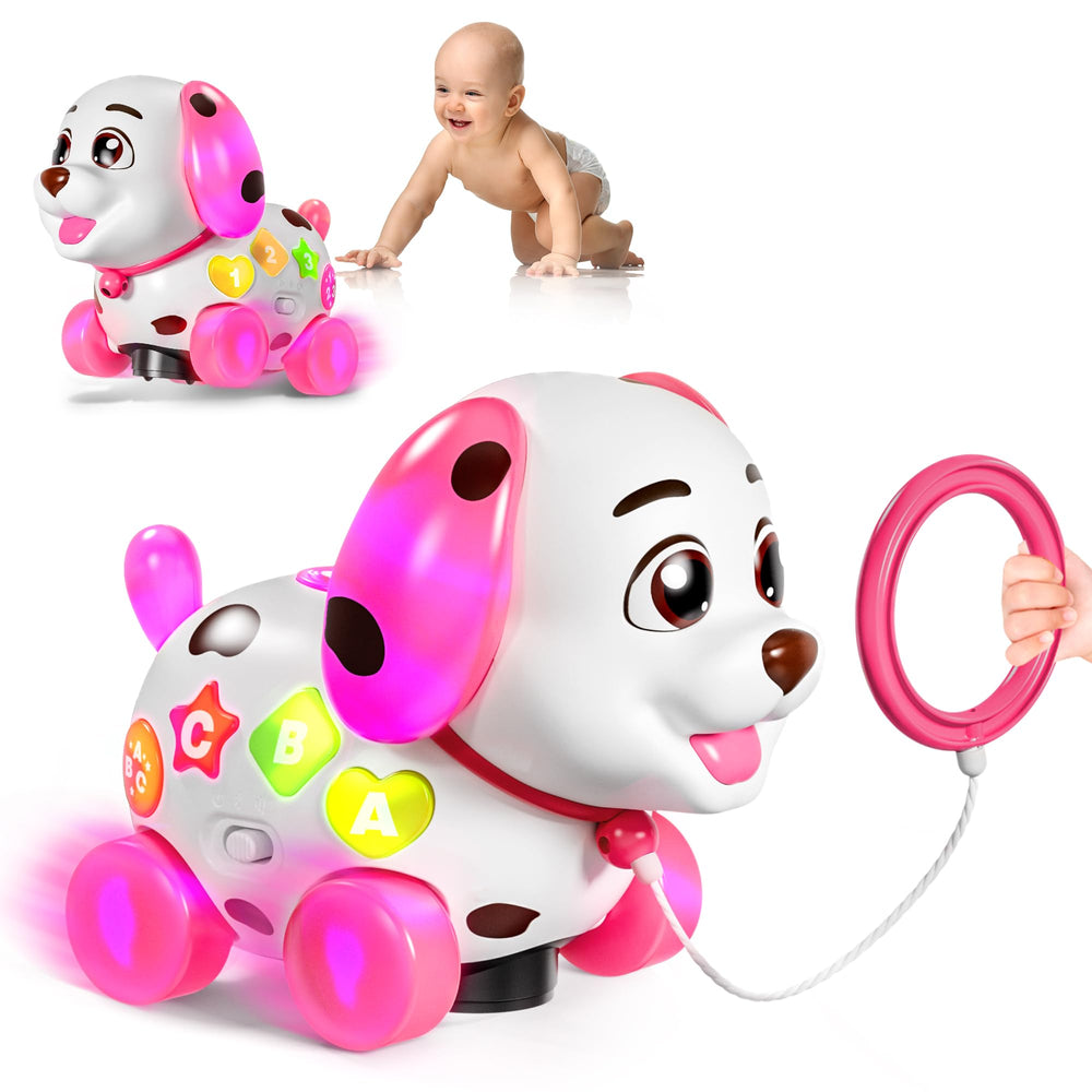 Grasili durable ABS puppy toy withstands rough play and daily adventures
