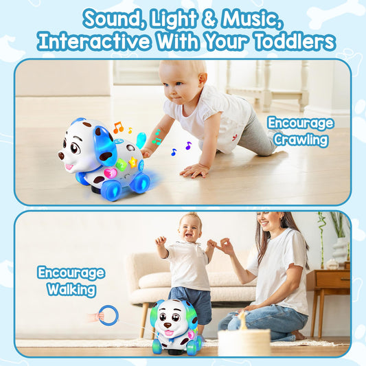 Grasili musical puppy toy moving tunes demonstrates interactive play for crawling.