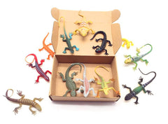 Guaishou educational animal figures for classroom use