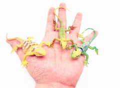 Guaishou mini reptile lizards 5-8 cm for hands-on exploration