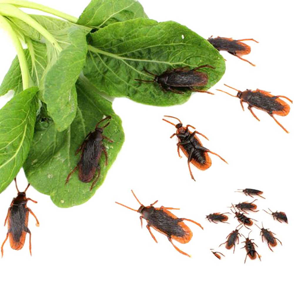 GUDVES prank roaches closeup brown, convincing fake insects for realistic pranks.