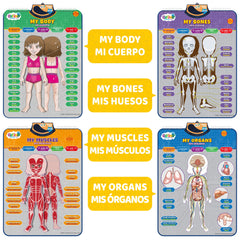 GUFINO pronunciation-friendly bilingual anatomy vocabulary boosts two-language terms