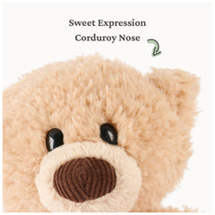GUND Littles Toothpick Teddy packaging image showcases gift-ready presentation.