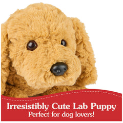 Red heart stitch on Muttsy's left paw signals connection and care.