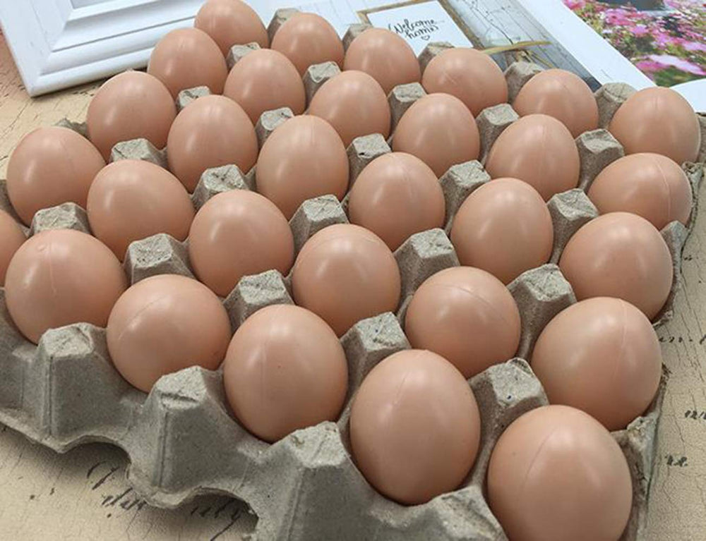 Haawooky art and craft eggs supplies for creative projects and workshops.