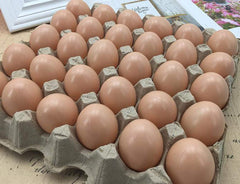 Haawooky art and craft eggs supplies for creative projects and workshops.