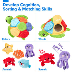 Hahaland shell toy highlights shape and color recognition with crinkle sounds