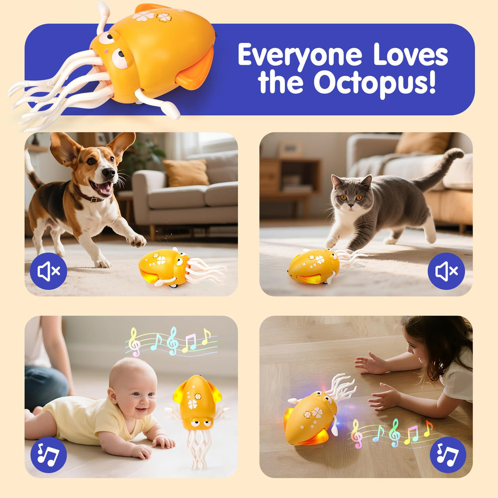Hahaland birthday gift idea with cheerful movement and music for little ones.