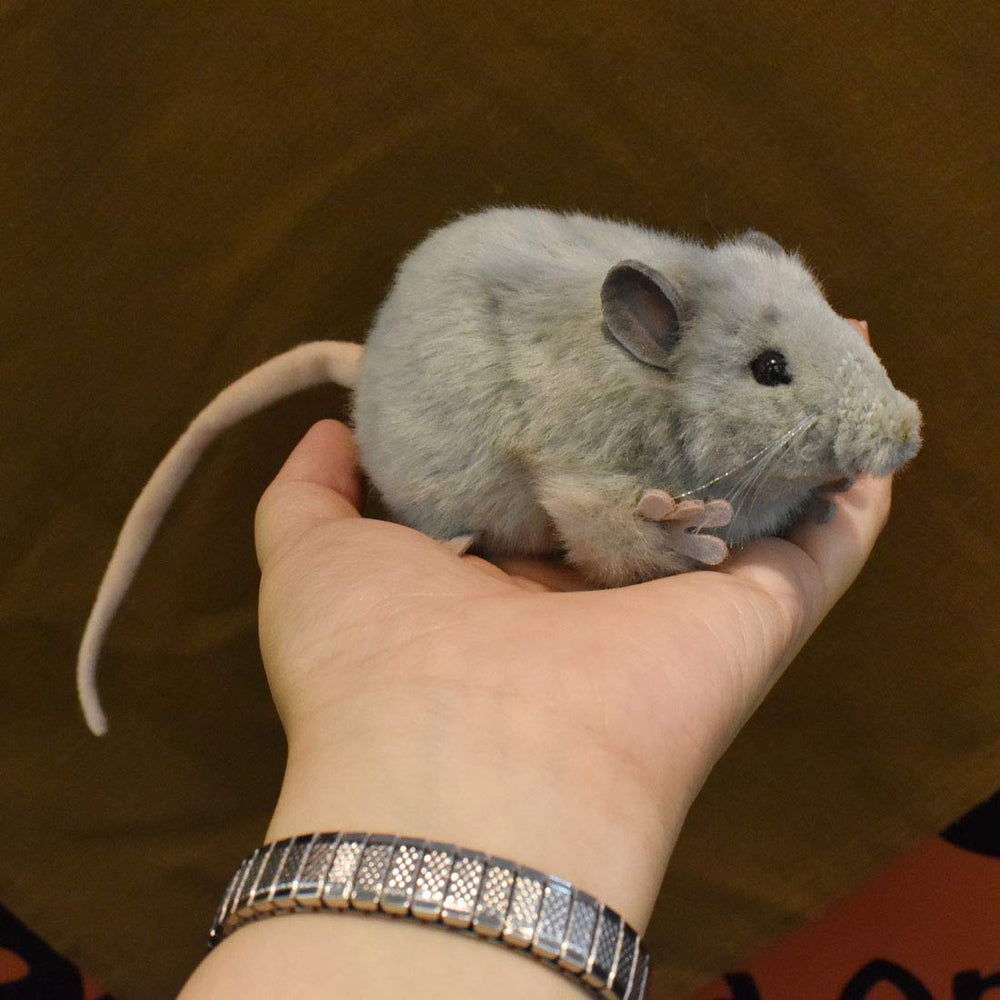 Hansa Gray Mouse hand-sewn face detail enhances lifelike charm during playtime.
