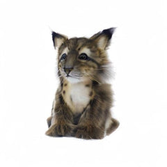 Hansa Lynx Cub plush, tag detail with care instructions for easy handling