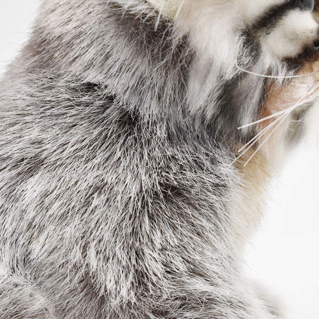 Hansa Pallas Kitten 12-inch ideal for imaginative pretend play and storytelling.