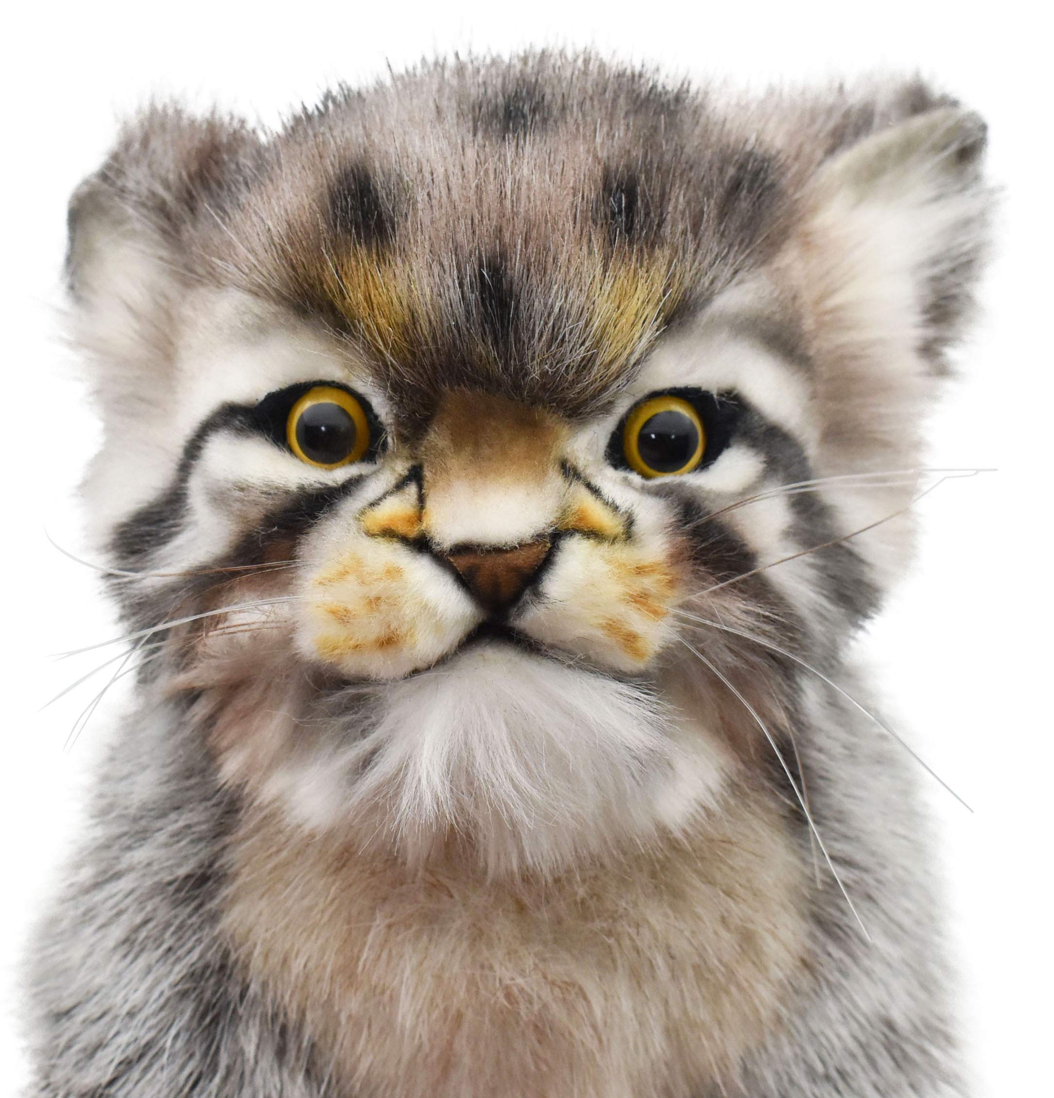 Hansa Pallas Kitten 12-inch soft texture invites soothing cuddle sessions.