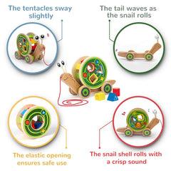Hape Walk-A-Long Snail uses water-based, non-toxic paint for safe, durable play