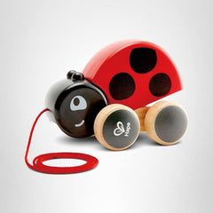 Hape wooden toddler toy promotes active play and exploration.