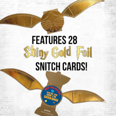 Harry Potter Valentine card set with envelopes ready for classroom party exchanges.