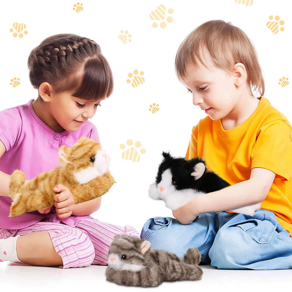 Harrycle cat plush vacuum-packed packaging for easy transport and quick recovery.