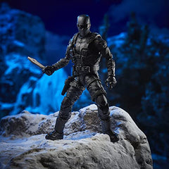 Hasbro G.I. Joe Snake Eyes & Timber action figures in collectible packaging.