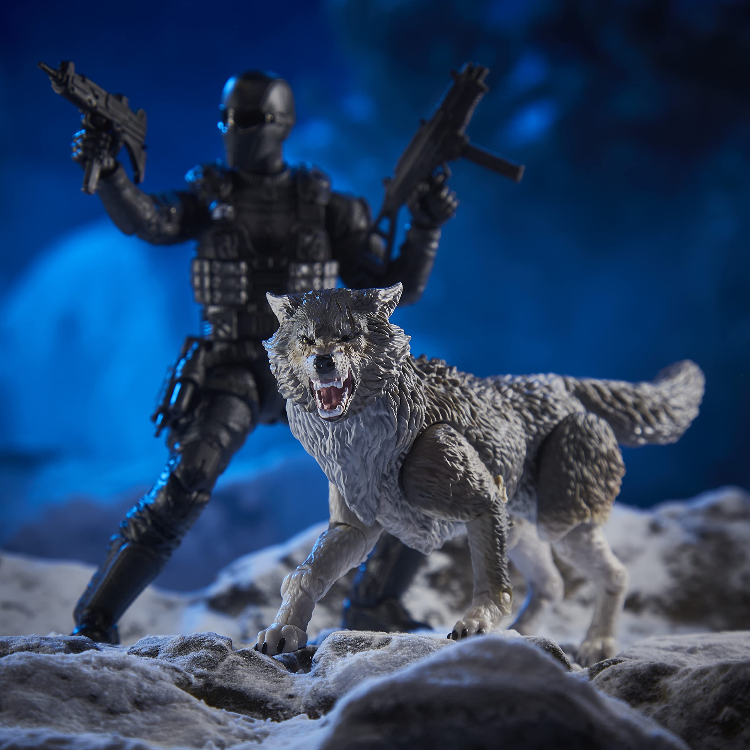 Hasbro Snake Eyes & Timber in jungle field scene for immersive display.