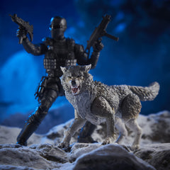 Hasbro Snake Eyes & Timber in jungle field scene for immersive display.