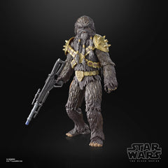 Hasbro Star Wars Black Series figure complements a growing collection.