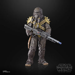 Hasbro Star Wars Krrsantan textured fur conveys rugged, faithful look.