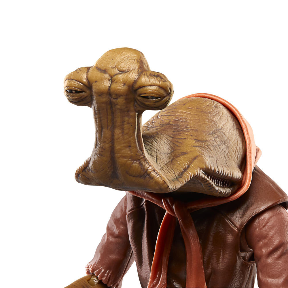 Hasbro Momaw Nadon expands a Star Wars Black Series collection on display.