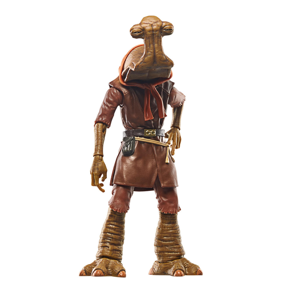 Hasbro Momaw Nadon origin notes: exile from Ithor adds depth to display.