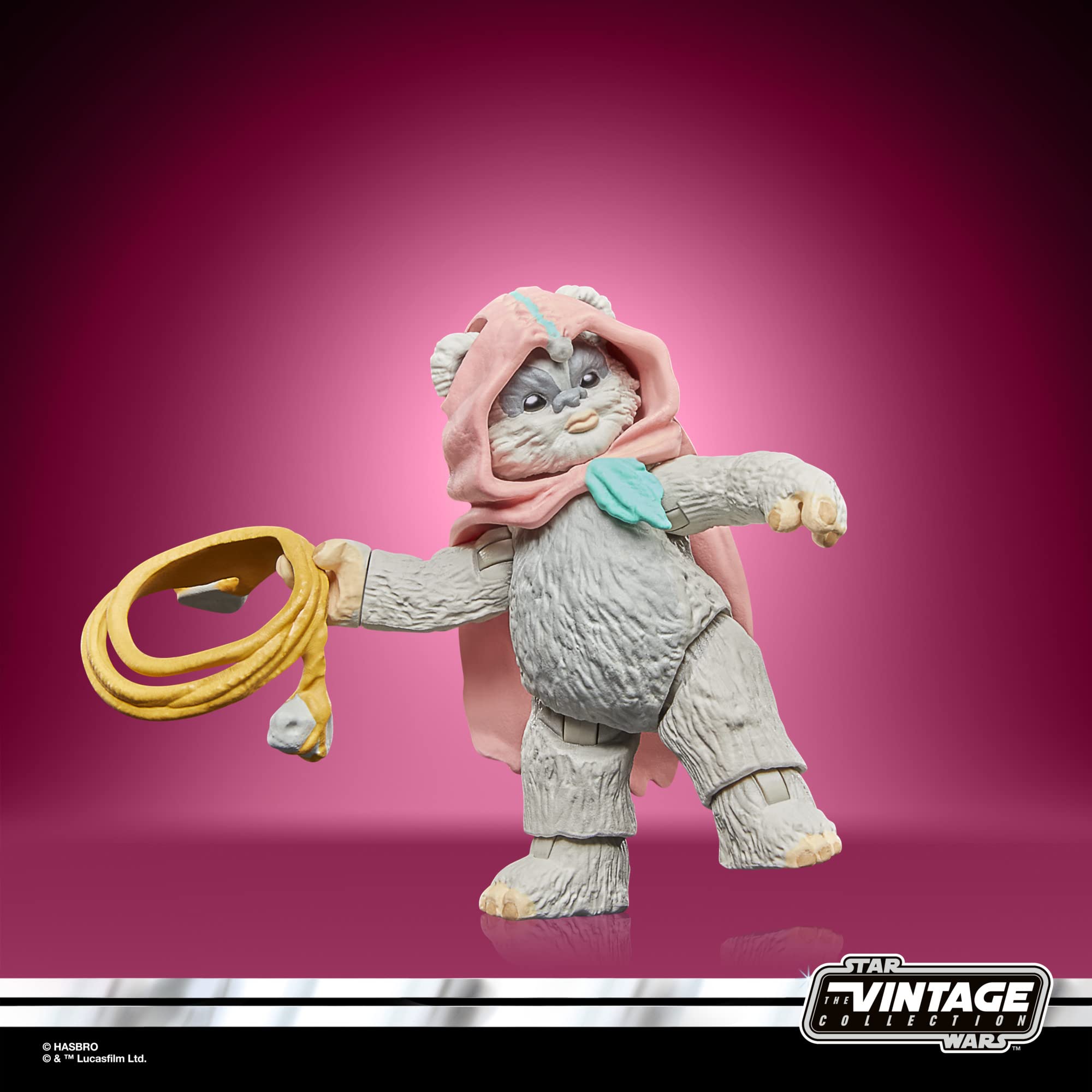 Hasbro Star Wars Wicket W. Warrick Kneesaa figure details and deco