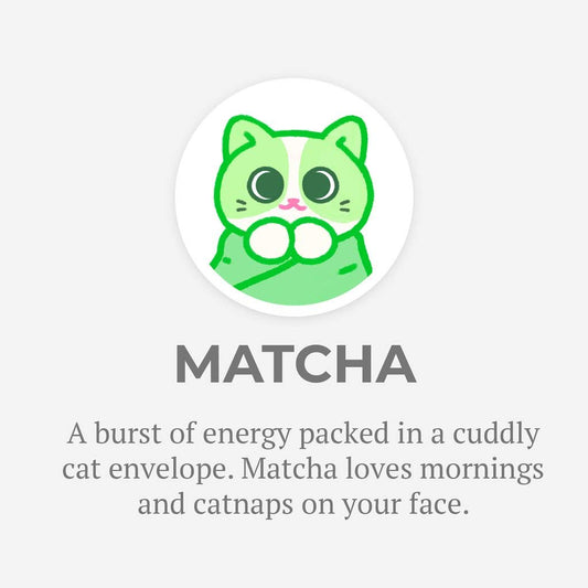 Hashtag Collectibles Purritos Series 2 Matcha in foil packaging for unboxing fun