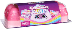 Hatchimals Alive Rainbow Splash Carton checklist and instructions for collectors