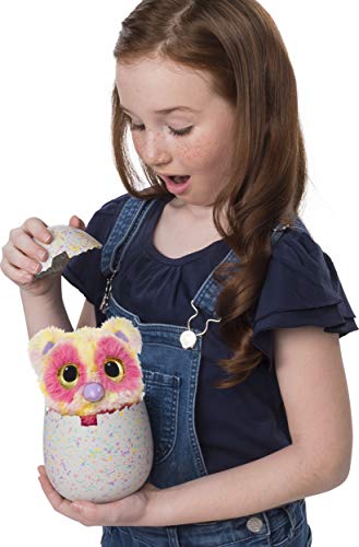 Hatchimals Mystery included guide and cheat sheet; quick setup