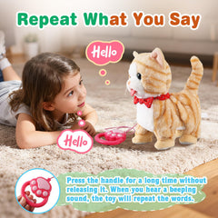 HCdoujoy yellow cat dressed up with comb and accessories