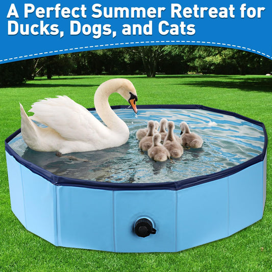 Hdnbsp hard-shell pool setup showing sturdy, durable construction for frequent use.