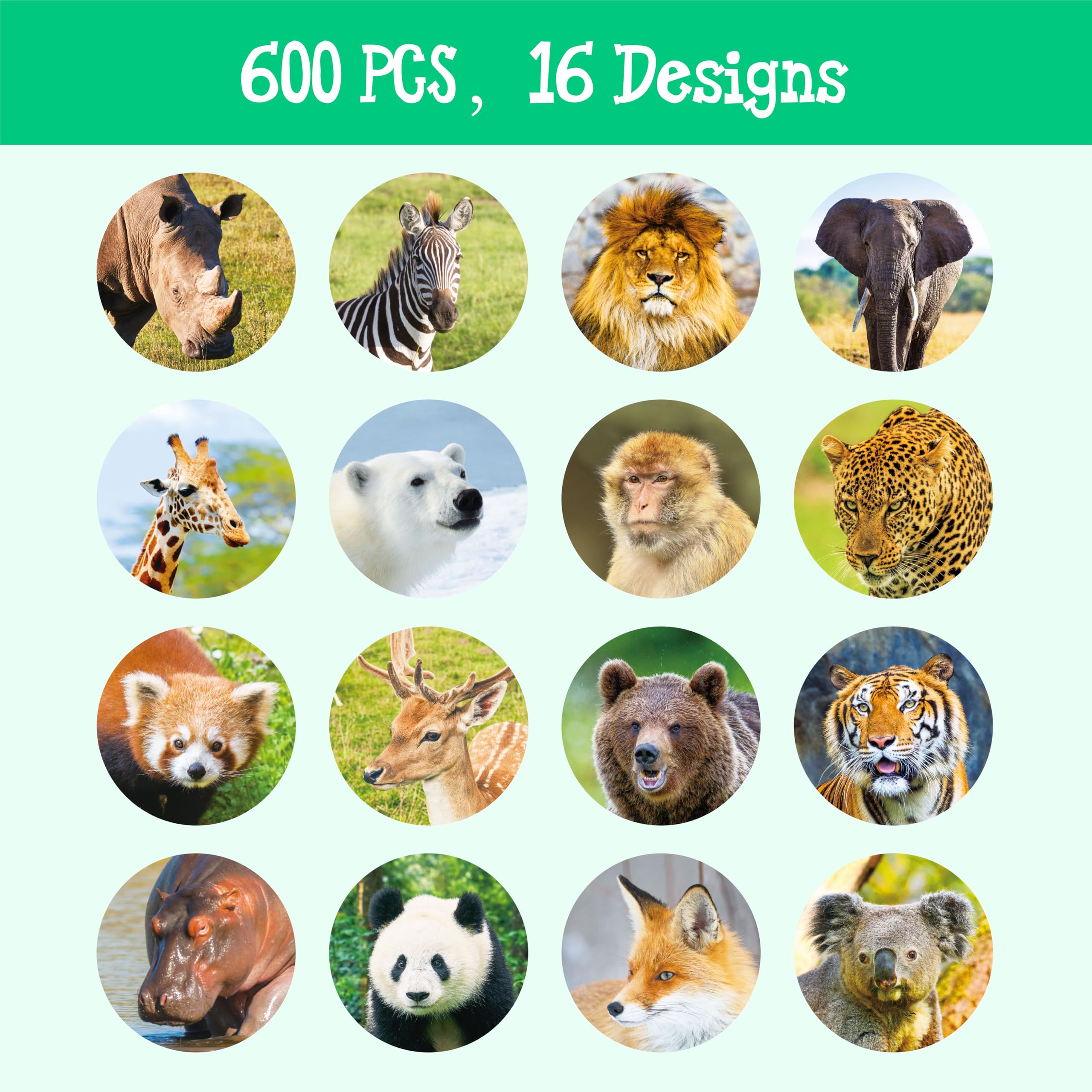 Hebayy 16 jungle designs for engaging learning and playful crafts.