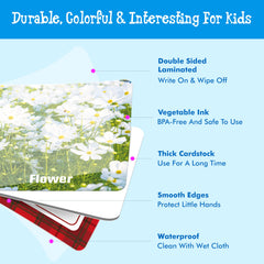 Hebayy double-sided daily items pattern designs for versatile play.