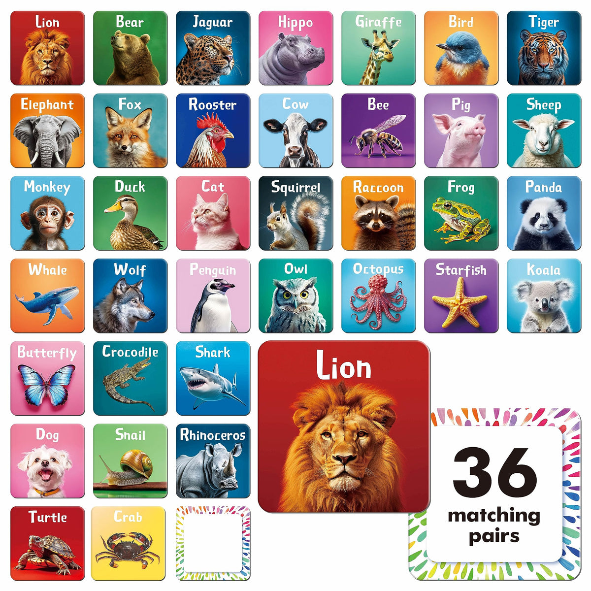 Hebayy memory matching game animal cards featuring real animals to spark curiosity and improve focus during play.