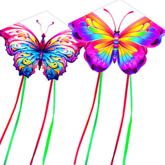 HENGDA KITE butterfly kite 2-pack, easy setup for family fun.