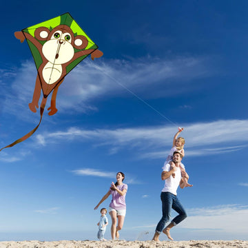 HENGDA KITE monkey kite folded, compact carry bag ready.