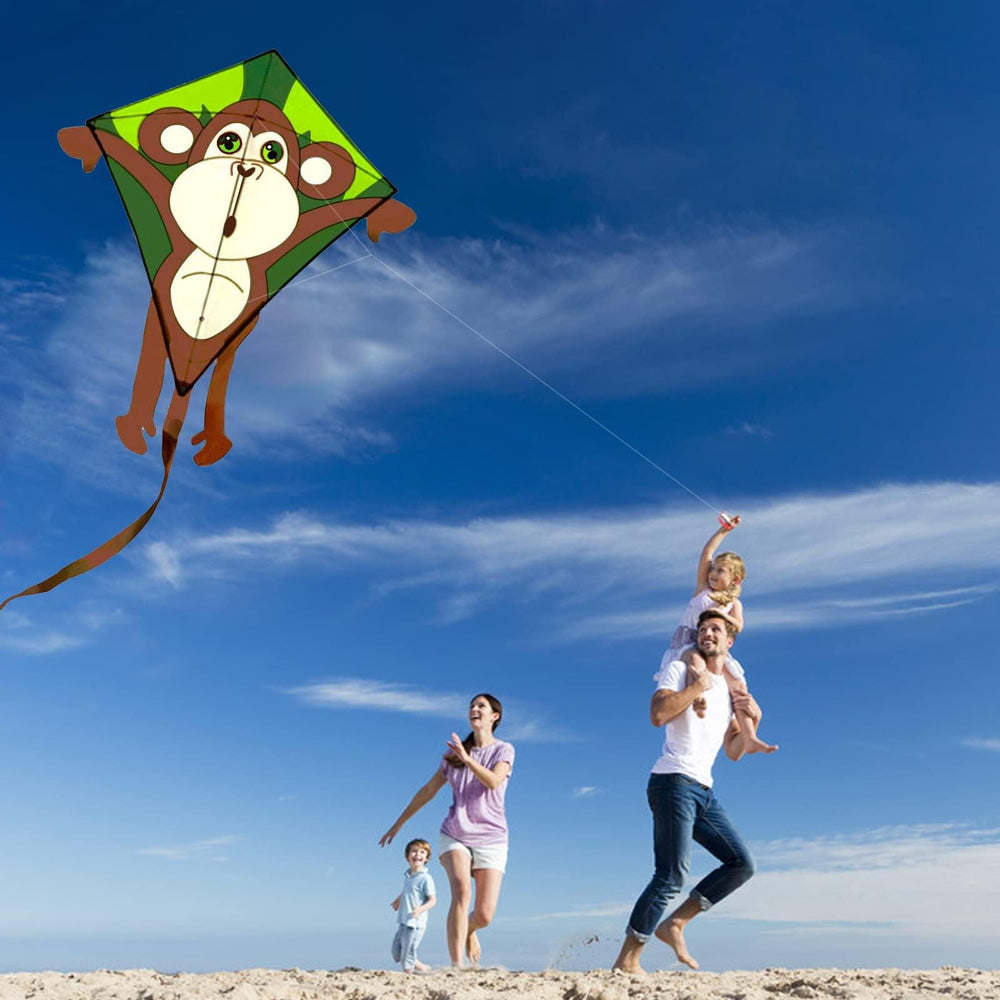 HENGDA KITE monkey kite folded, compact carry bag ready.