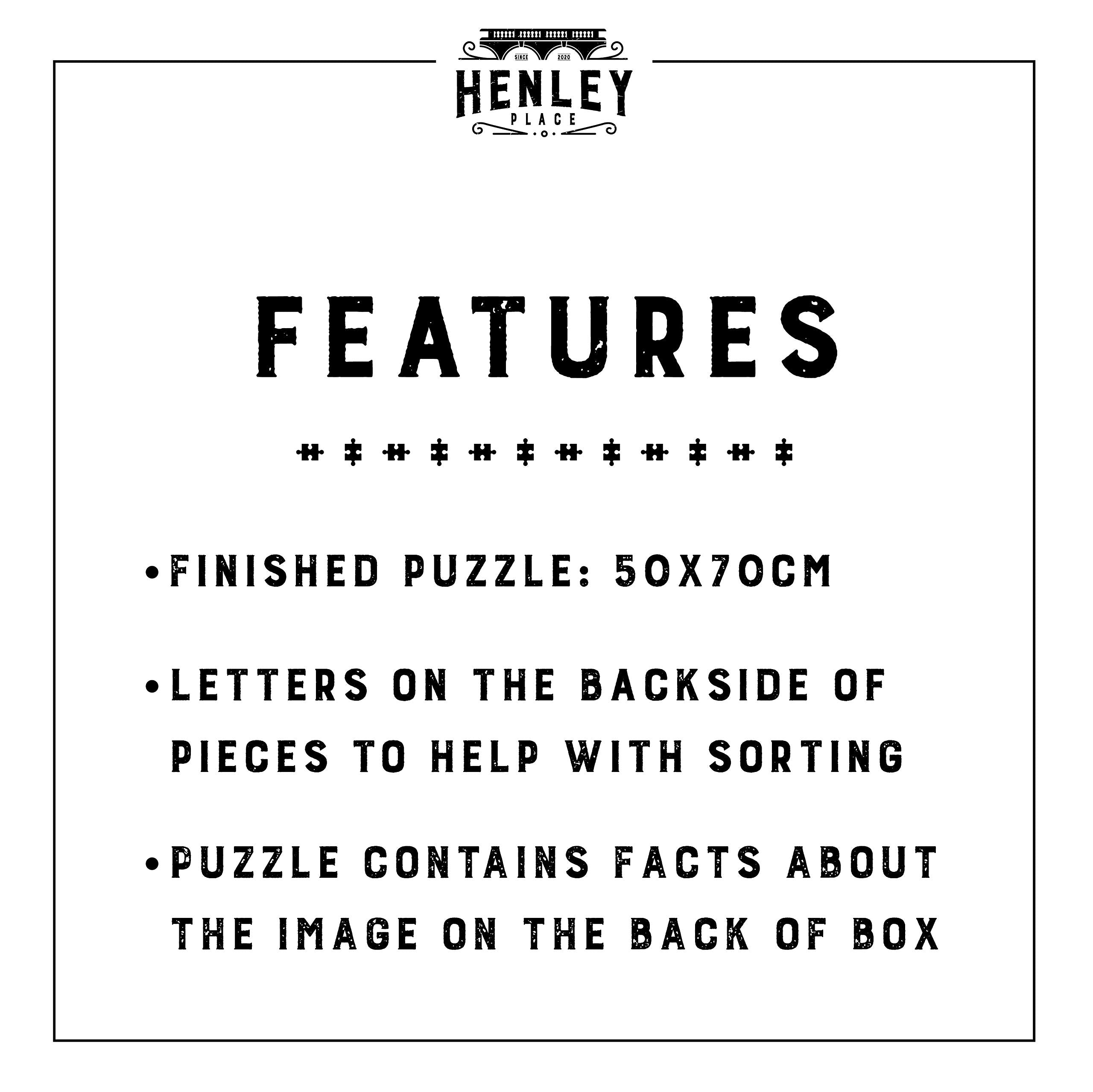 Henley Place Space Puzzle wall display, ready after completion