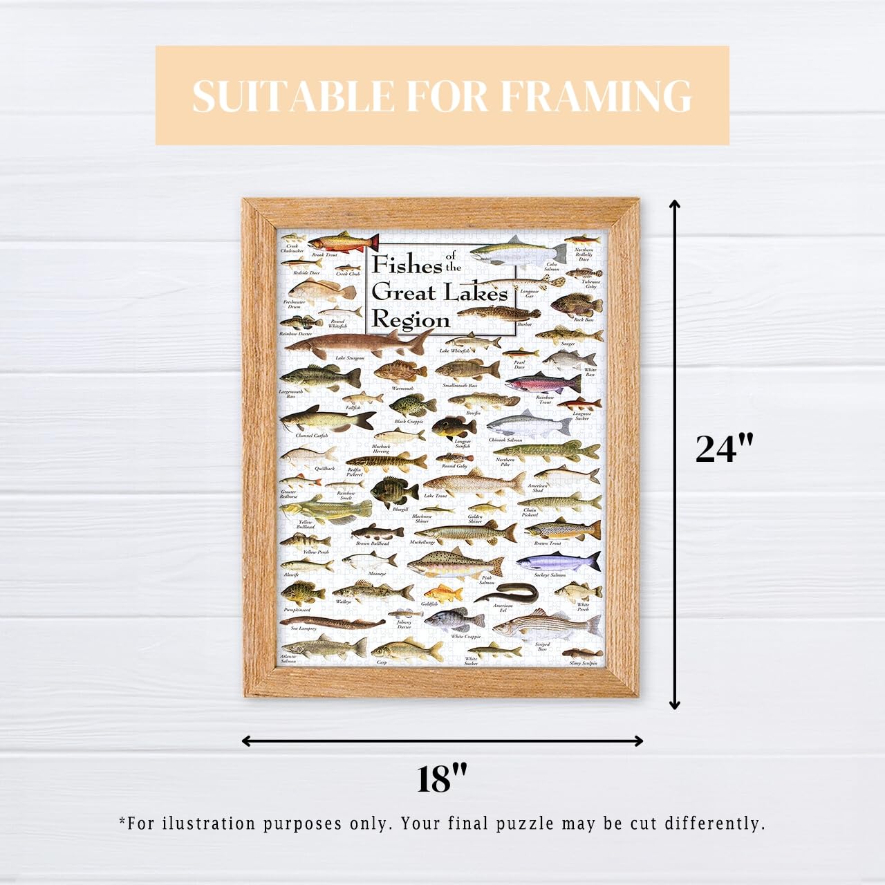Heritage Puzzle 18x24 finished size suits wall framing in living spaces.